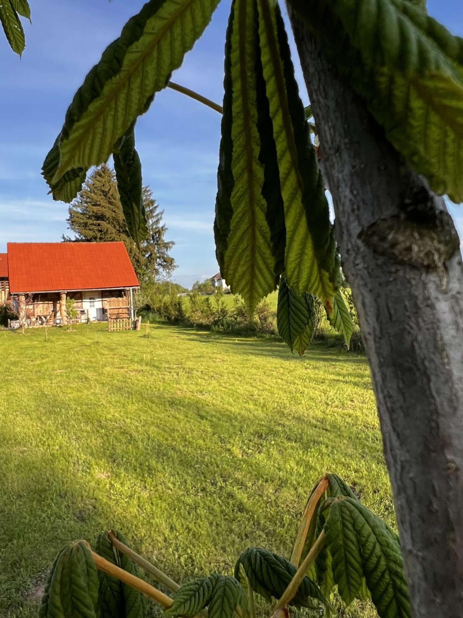 Edenski Vrt Ivancna Gorica Exteriör bild