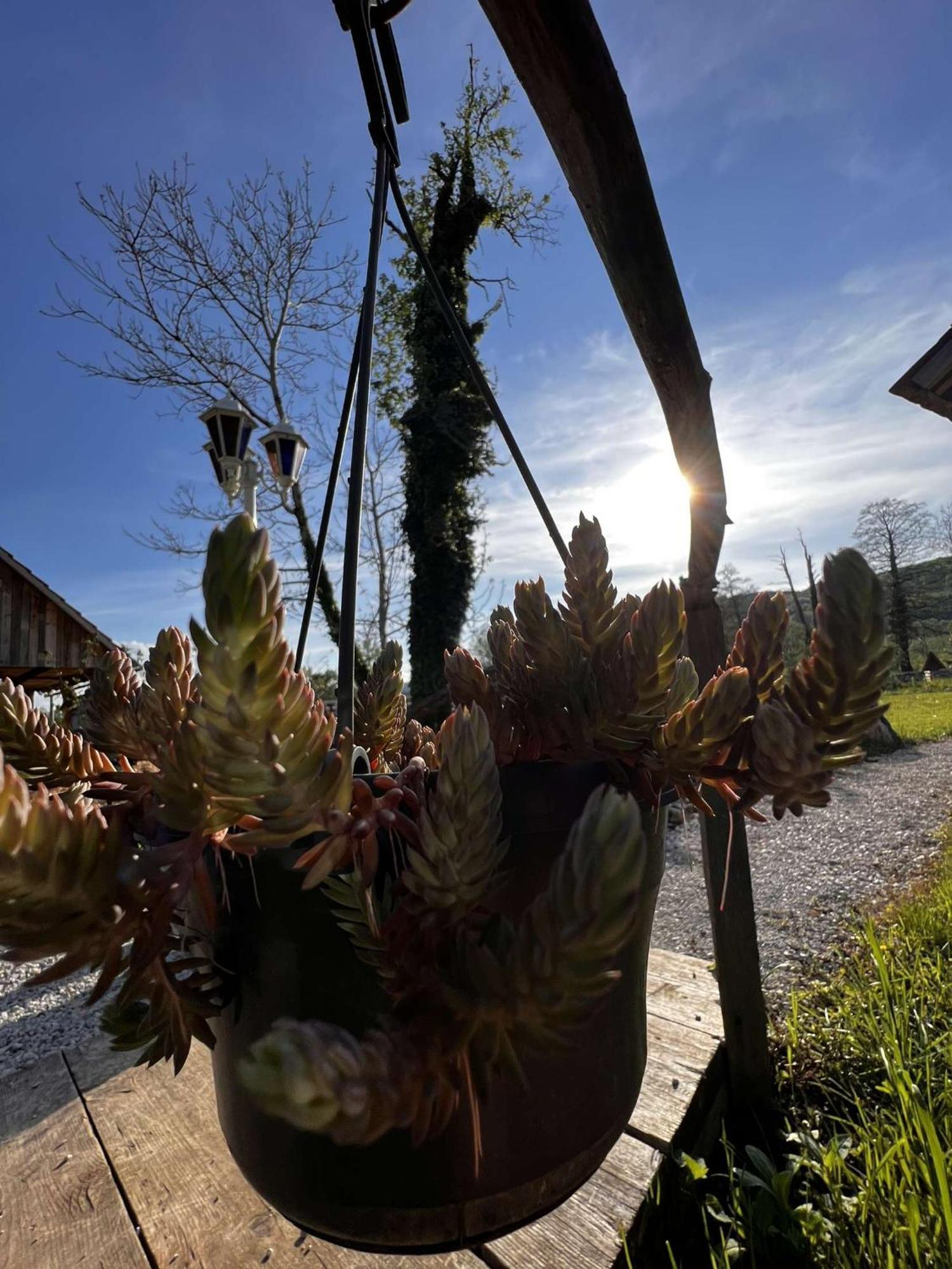 Edenski Vrt Ivancna Gorica Exteriör bild