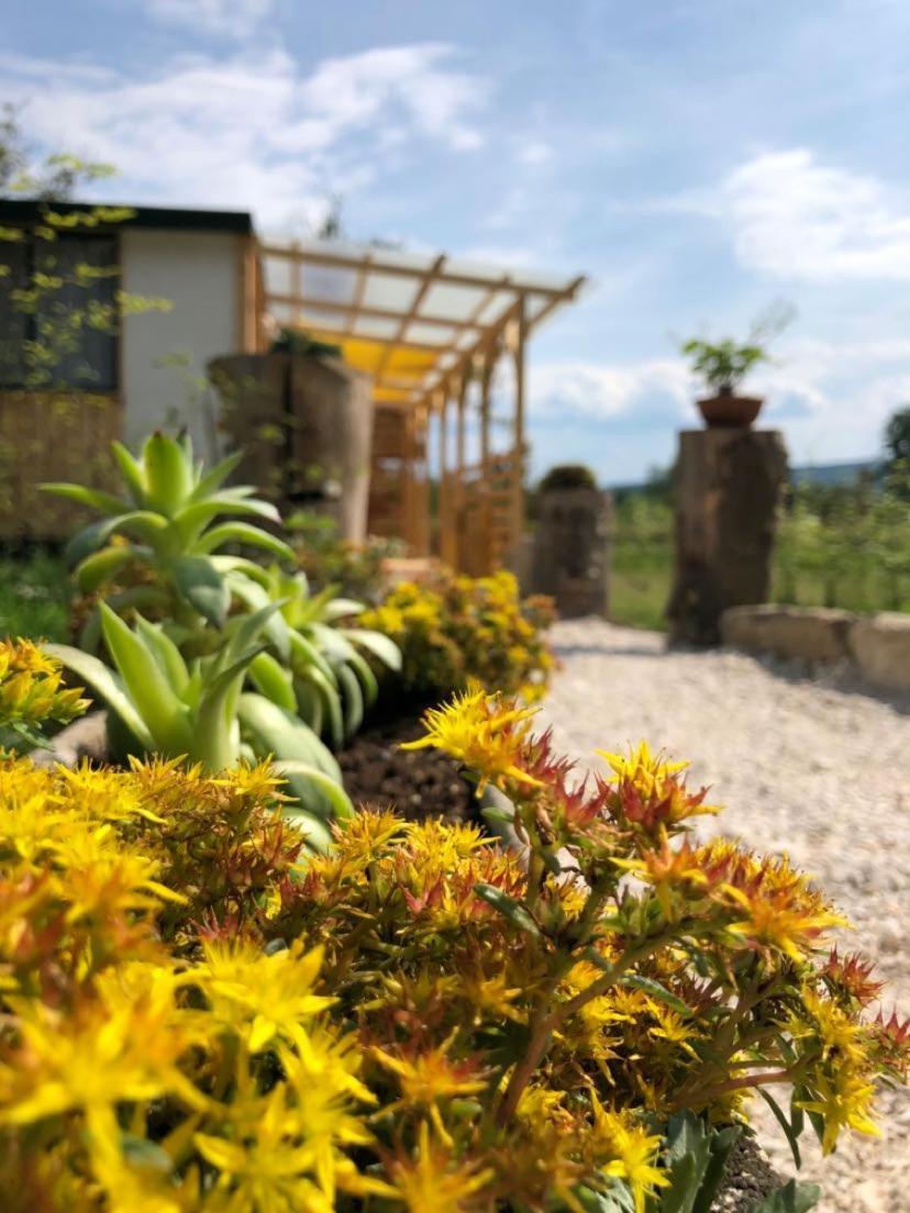 Edenski Vrt Ivancna Gorica Exteriör bild